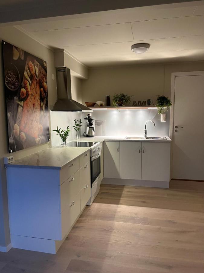 Lena Apartment Tromso Kvaloya Extérieur photo